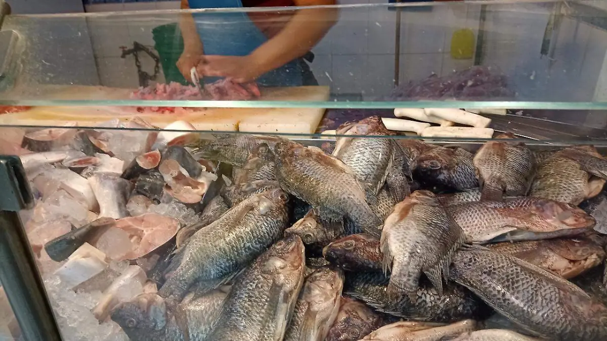 pescados 1